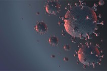 Ten cases of contracting British coronavirus strain recorded in Armenia – Ministry