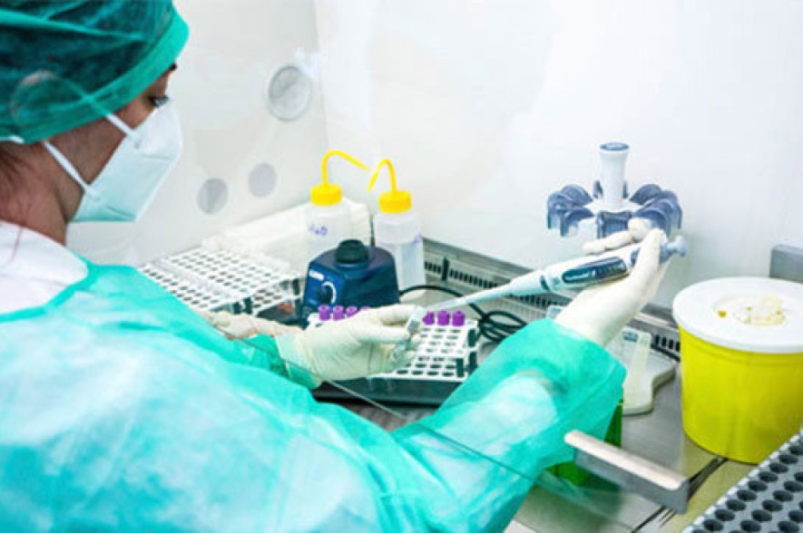 Armenia records 1,025 new coronavirus cases in a day, 24 deaths reported