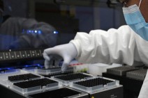 Armenia records 881 new coronavirus cases in a day, 29 deaths reported