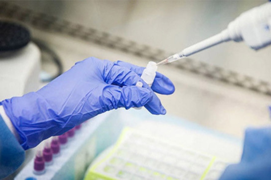 Armenia records 493 new coronavirus cases in a day, 13 deaths reported