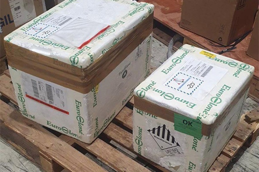 Second batch of AstraZeneca vaccine reaches Armenia