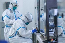Armenia records 229 new coronavirus cases in a day, 14 deaths reported
