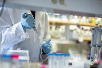 Armenia records 191 new coronavirus cases in a day, 9 deaths reported