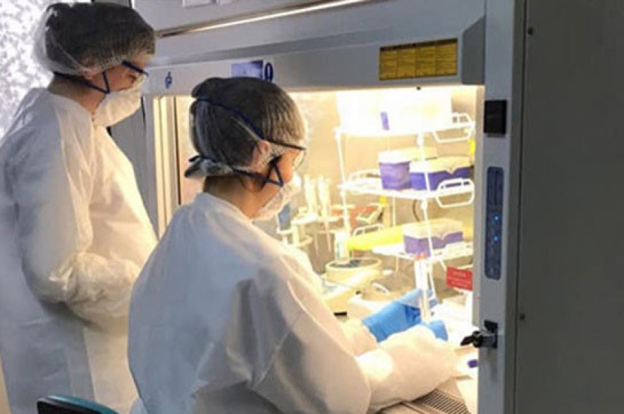 Armenia records 73 new coronavirus cases in 24 hours