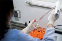 Armenia documents 250 new coronavirus cases in 24 hours, 7 deaths recorded