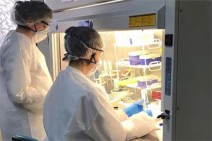 Armenia records 280 COVID-19 cases in past 24 hours