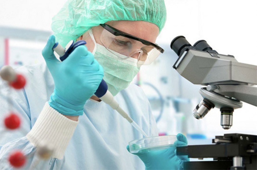 25 cases of Delta strain of coronavirus confirmed in Armenia