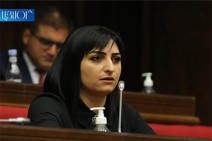 «Гражданский договор» отклонил предложенный Тагуи Товмасян законопроект