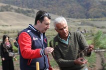 Partnership to increase forest cover in Armenia and fight against desertification