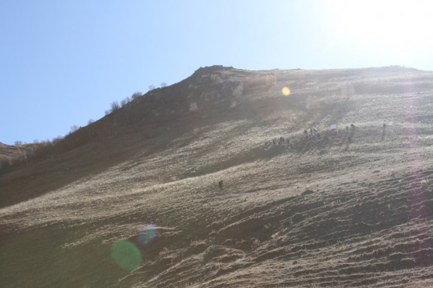 Viva-MTS: the program to grow forest on the bald mountain kicks off