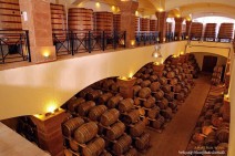 “The path to creating this brandy was an endless aspiration to excellence for us, and I feel that we succeeded” - Olivier Chapt