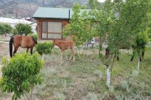 Partnership for Environmental Protection and Community Development