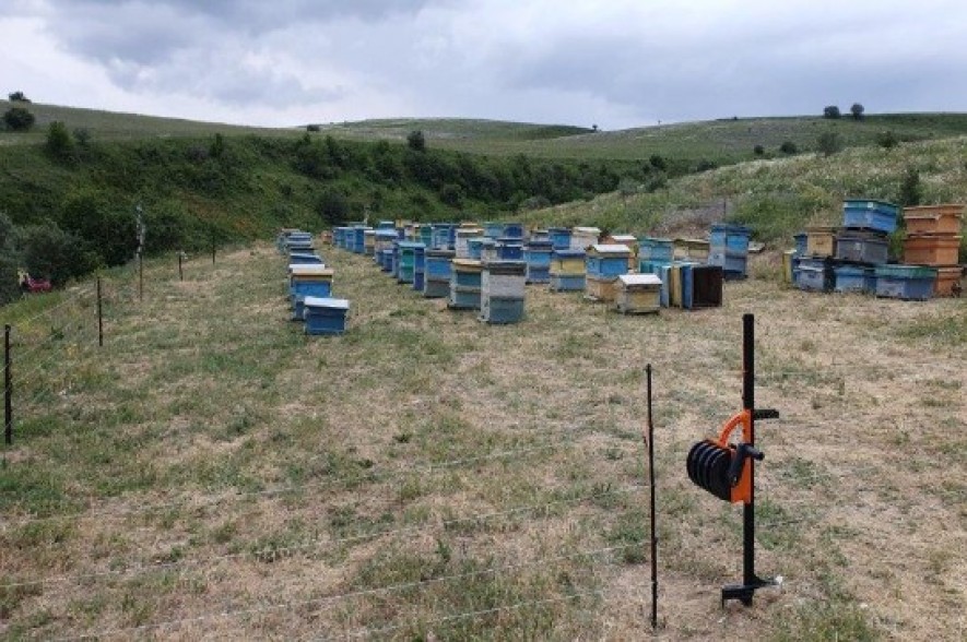 Electric Fences are a new replacement for scarecrows: modern technologies made available to villages by Viva-MTS