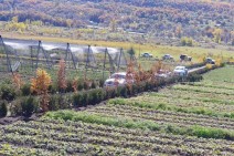Thinking “green” is a lifestyle․ Viva-MTS and "My Forest Armenia" continue the environmental partnership