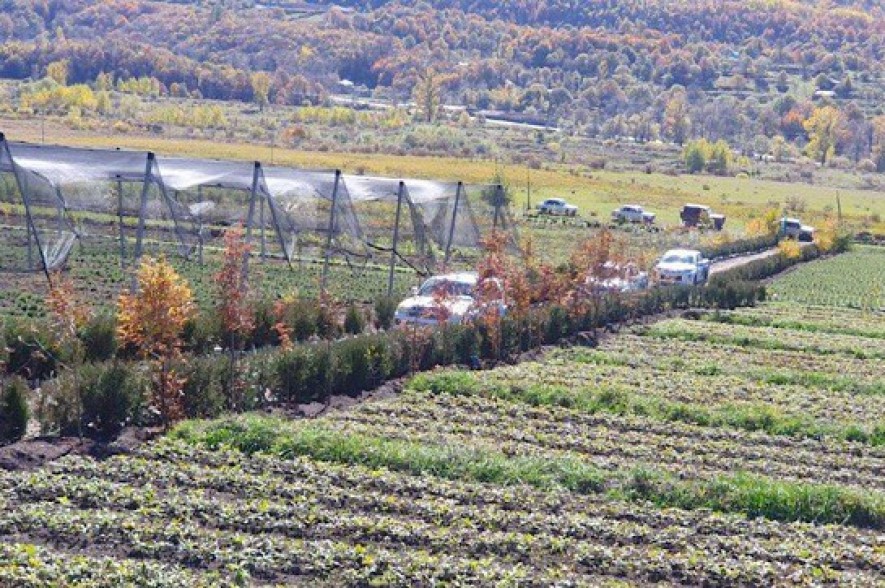Thinking “green” is a lifestyle․ Viva-MTS and "My Forest Armenia" continue the environmental partnership