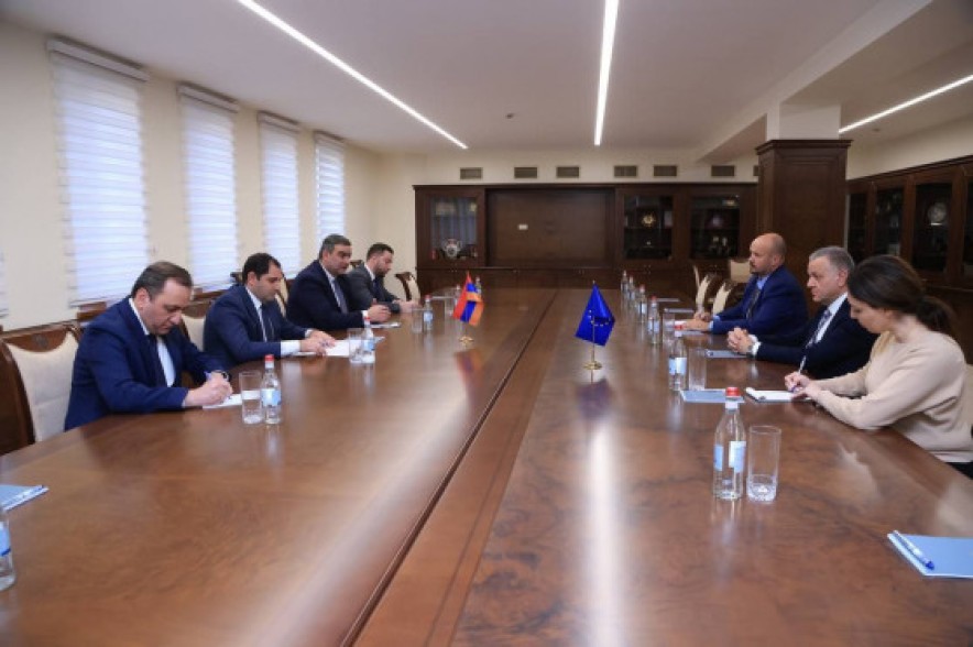 Сурен Папикян принял руководителя делегации ЕС в Армении