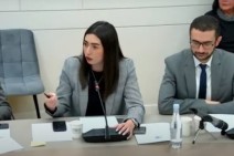 Արփինե Սարգսյանը ներկայացրեց կառավարության տեսակետը. «Ոչ մի տարօրինակ բան չկա գումարի դիմաց բանակից ազատվելու մեջ»