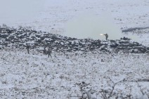 Были представлены новейшие технические средства отечественной военной промышленности и порядок их применения (Фото)