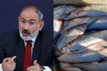Никол Пашинян: Мы как государство впервые имеем дело с сигом