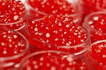 Россельхознадзор выявил нарушения при поставках икры из Армении