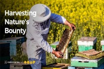 Ameriabank and COAF Pool Efforts to Develop Beekeeping in Lori Region