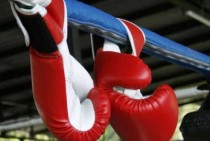 Կարատե, քիք-բոքսինգ և  մուայթայ մարզաձևերի ներկայացուցիչները բարձր արդյունքներ ցույց տալու պարագայում կկարողանան դրամական պարգևատրում ստանալ