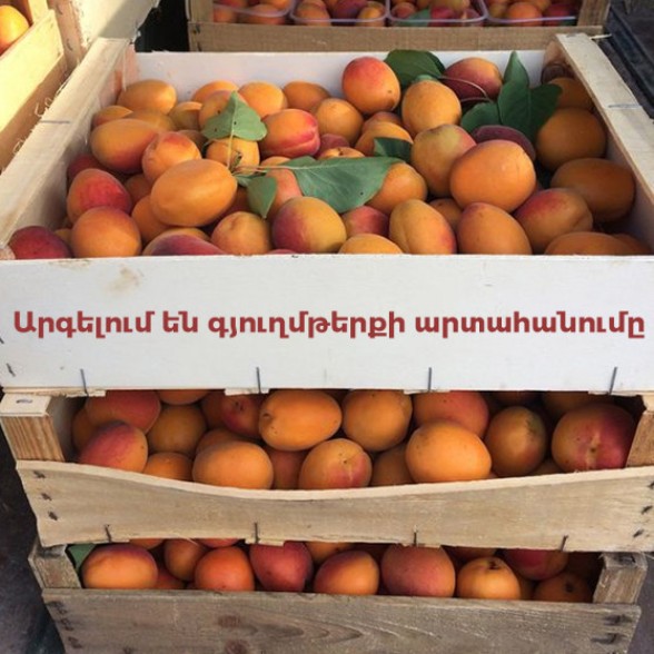 Արտահանողներն ահազանգում են, թե հայկական կողմը խոչընդոտում է դեպի ՌԴ գյուղմթերքի արտահանումը