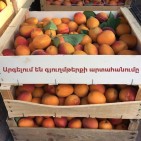 Экспортеры предупреждают, что армянская сторона препятствует экспорту сельхозпродукции в Россию