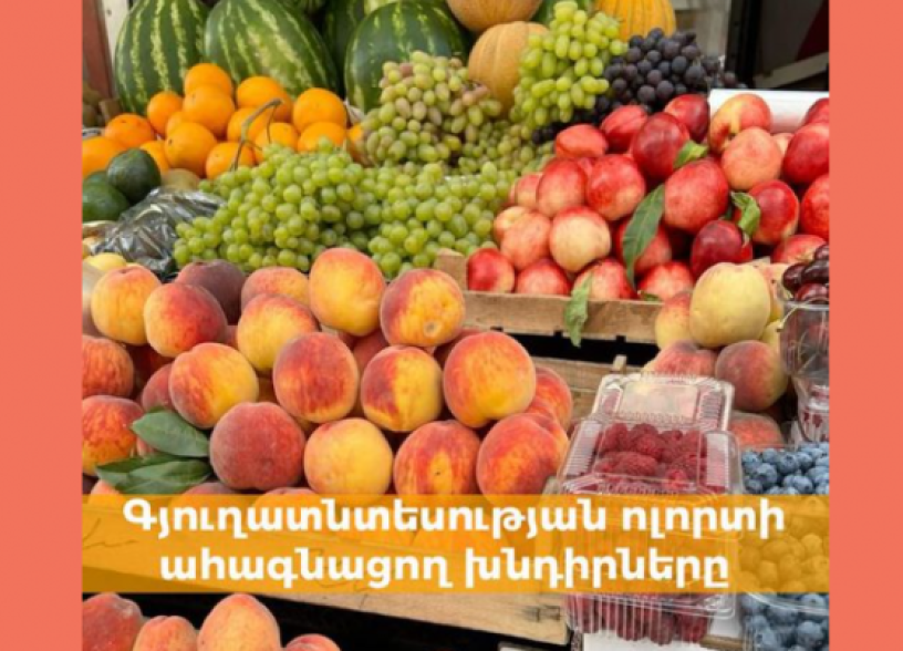 Հերթական անգամ վարկային ծանր պարտավորությունների հետ գյուղացին մնում է միայնակ․ Դանիելյան