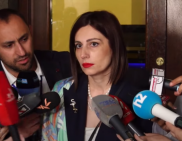 В Армении эпидемическая ситуация, связанная с лихорадкой Западного Нила, идет на спад — Анаит Аванесян