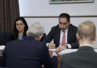 Армения и Швеция обсудили вопросы сотрудничества в сфере развития местного самоуправления