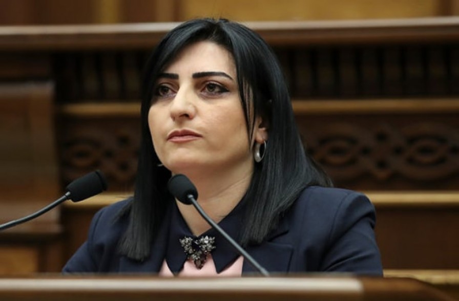 Բաքվում դատապարտվում, նվաստացվում և խոշտանգվում են էթնիկ հայերը. Թագուհի Թովմասյանը գրություն է ուղարկել մի շարք միջազգային կազմակերպությունների